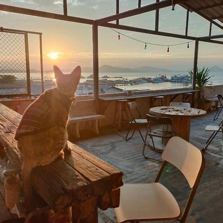 Sattahiptale Boutique Guesthouse & Hostel Екстериор снимка
